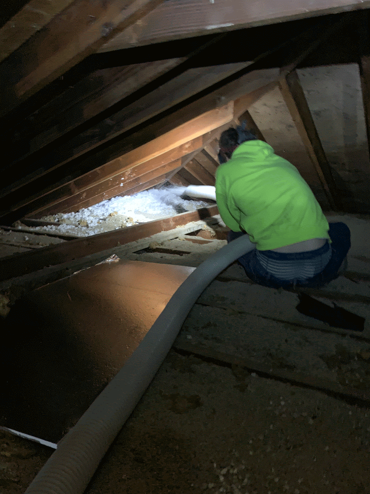 MyGreenKC installer blowing insulation into a Kansas City attic